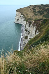 Wall Mural - Kreidekueste bei Etretat