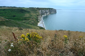 Wall Mural - Kreidekueste bei Etretat