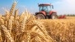© irissca - Close-up of wheat stalks with a tractor in the background during harvest. Concept of farm-to-table, local agriculture, and sustainable food production.