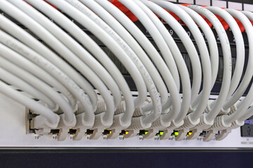 CAT-6 patch cords  for connecting Ethernet switches to patch panels in a telecommunications rack.