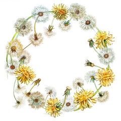 Wall Mural - Watercolor Dandelion Wreath: Yellow Floral Frame for Spring Design