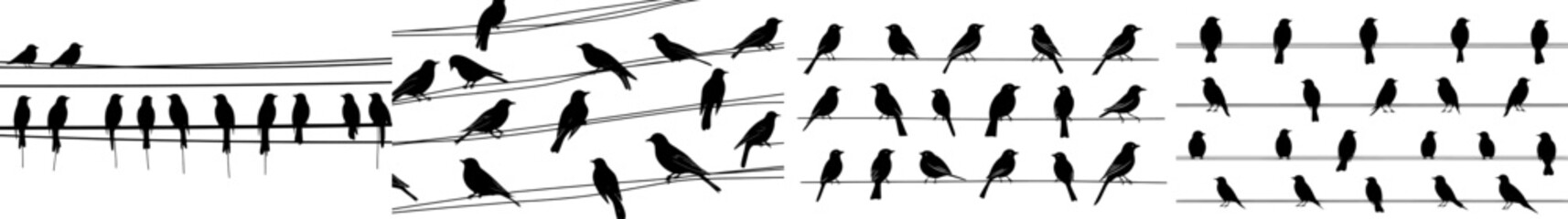 Crows and bullfinch flock together on power line wires, modern silhouette background. Black birds flying and sitting on power line cables, two rows of sparrows and bullfinches.