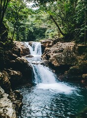 Sticker - Waterfall in Lush Green Forest