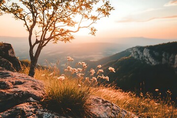 Canvas Print - Sunset View From Mountain Top With Flowers And A Tree