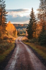 Sticker - Autumn Forest Road Winding Through Trees