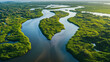 © Sawyer0 - Malownicza panorama złożona z gęstej, zielonej roślinności i wijących się koryt wodnych.
