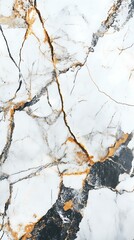 Canvas Print - White Marble Texture Background with Black and Gold Veins