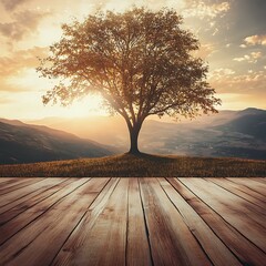 Wall Mural - Sunset Landscape With Single Tree On Hill