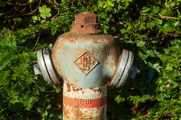 Alter Hydrant, Feuerhydrant, Waserzapfstelle, Deutschland