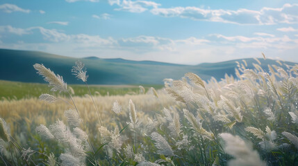 Canvas Print - Serene Grass Field Landscape with Rolling Hills and Blue Sky