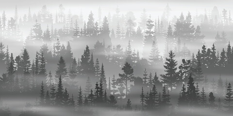 coniferous forest in the morning haze, black and white landscape, vector illustration