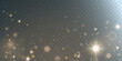 © MAKSYM - Light abstract glowing bokeh highlights. Light bokeh effect isolated on transparent background. The Christmas background shines from the dust. Christmas concept for design and illustrations.