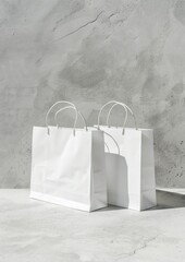 Canvas Print - White shopping bags mockup accessories accessory handbag.