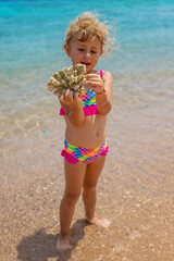 Poster - Child playing with coral in the sea. Selective focus.