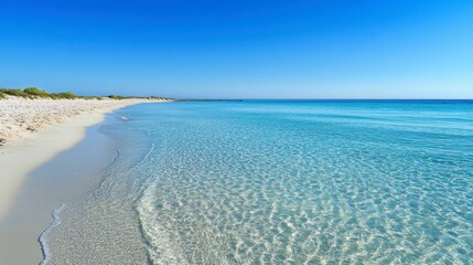 A serene beach with clear light blue waters gently lapping against the shore, reflecting the cloudless sky above.