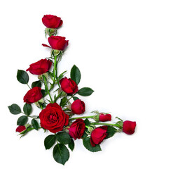 Wall Mural - red flowers roses on white background with space for text. top view, flat lay