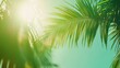 © Puttipong - Sunlight shining through the branches of a palm tree, casting soft shadows on a bright green background.