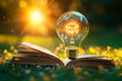 © graja - A glowing light bulb with book or textbook on a grass. Working, studying or learning inspiration.