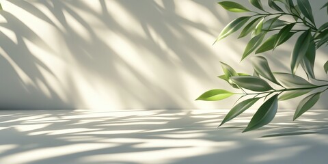 Poster - Soft Shadows on White Background with Green Leaves