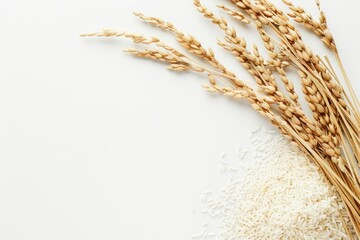 Wall Mural - Rice wheat agriculture ingredient.