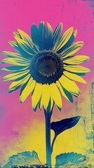 Sticker - Sunflower asteraceae painting blossom.