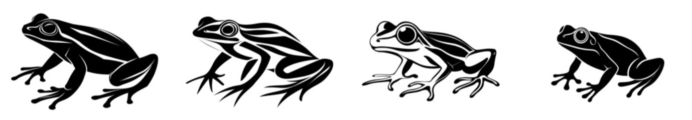 Wetland and Pond Ecosystem Illustrations Using a Green Frog