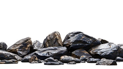 Wall Mural - flat wet shale forest rocks