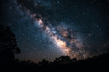 Wall Mural - Milky way and stars in the night sky