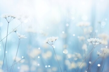 Canvas Print - Winter bokeh flower backgrounds outdoors.