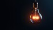 © Pricha.RT - A single glowing light bulb hanging against a pitch-black background, symbolizing creativity, ideas, and innovation in a dramatic setting.