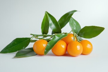 Wall Mural - Fresh citrus kumquats with green leaves on white background