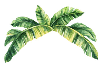 Wall Mural - Lush green palm leaves, vibrant and detailed, isolated on white background. transparent background