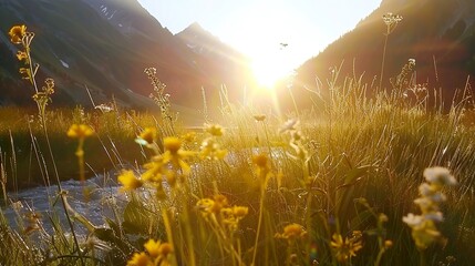 Wall Mural - _Sunrise_Flowers_Mountain_landscape_river_Colourb