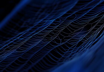 Delicate Spiderweb Under Blue Light