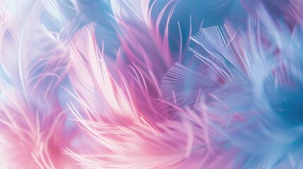 Wall Mural - pastel colour feather abstract background