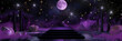 Midnight Magic: A moody and mysterious game show setting, with deep purple and black hues, glittering stars, and a full moon overhead.