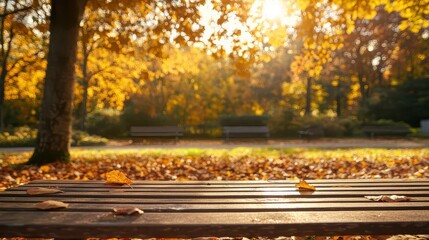 Wall Mural - A bench in a park with a tree in the background. The bench is empty and has a few leaves on it. The leaves are yellow and brown, indicating that it is autumn. The park is a peaceful