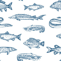Wall Mural - hand drawn fish vector seamless pattern background. fresh water trout, sturgeon, eel and catfish ske
