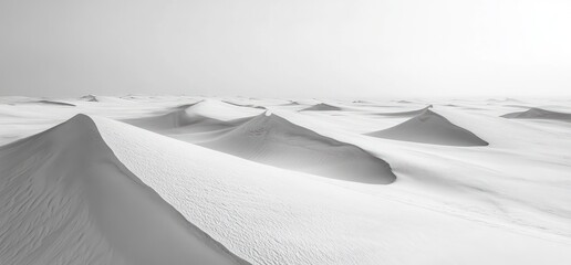 A vast, expansive, and white sand desert. The dunes are rolling and the sky is clear.