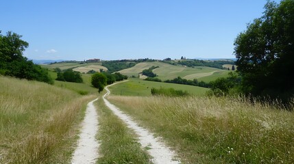 A serene countryside path winding through lush green fields under a clear blue sky.