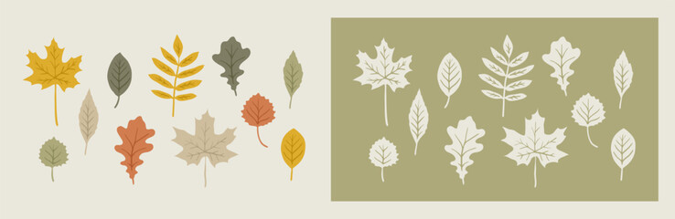 Wall Mural - Different types of autumn leaves isolated illustration set. Hand drawn graphic. Cute collection of simple flat elements. Color maple, oak, rowan leaf design.