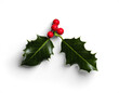© Custom Scene - Holly Branch with Red Berries