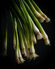 Green onion, scallions 