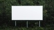 © Whitecatz - A blank billboard stands among greenery, providing a canvas for advertisements or messages in a natural setting.