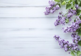 Lilac Flowers on White Wooden Background with Copy Space