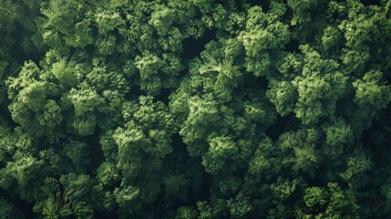 Wall Mural - Forest landscape pattern background top view generated by ai