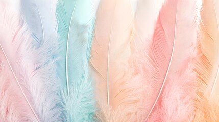 Wall Mural - Soft Pastel Feathers Background