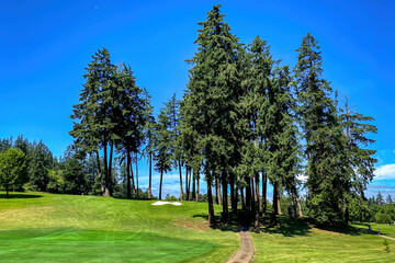 Scenic view of Laurelwood Golf Course in Eugene, Oregon, USA against blue sky