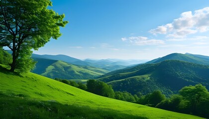 Wall Mural - Vibrant green hills under a serene blue sky