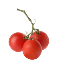 Wall Mural - Branch with ripe tomatoes isolated on white